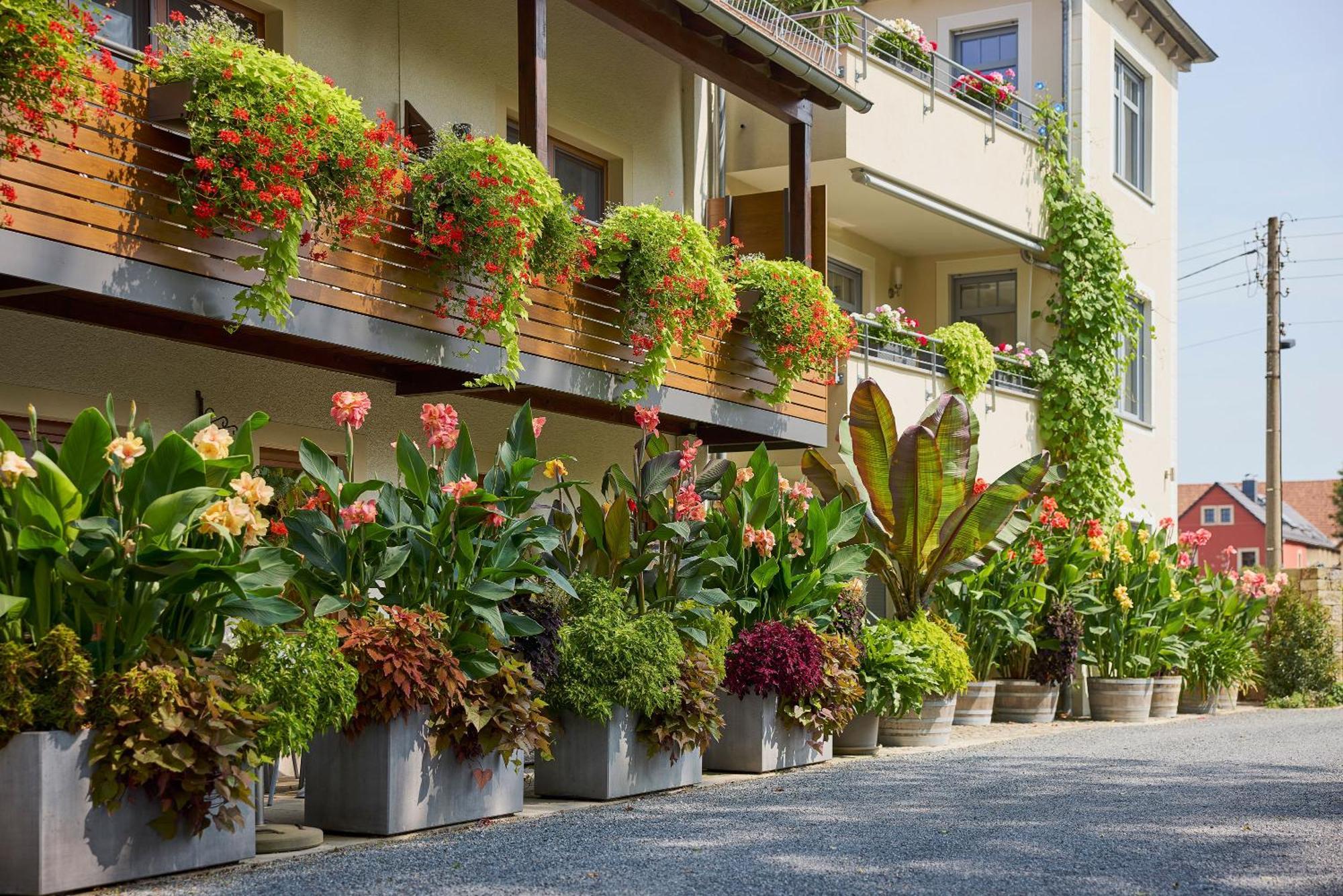Hotel Garni Sonnenhof Reichenberg  Zewnętrze zdjęcie